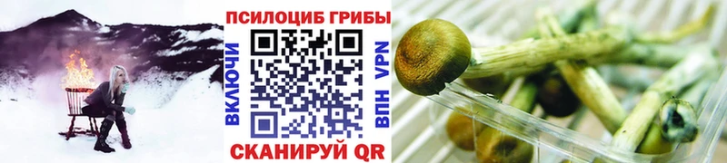 купить наркотики сайты  KRAKEN рабочий сайт  Псилоцибиновые грибы Cubensis  Курильск 